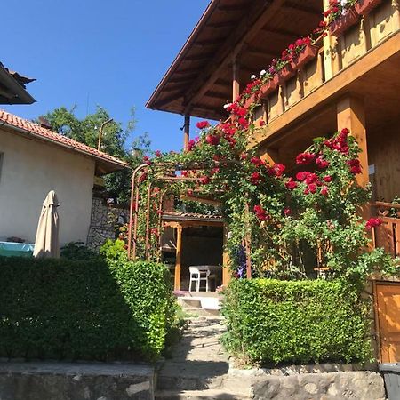 Guest House Roden Dom Kopriwsztica Zewnętrze zdjęcie